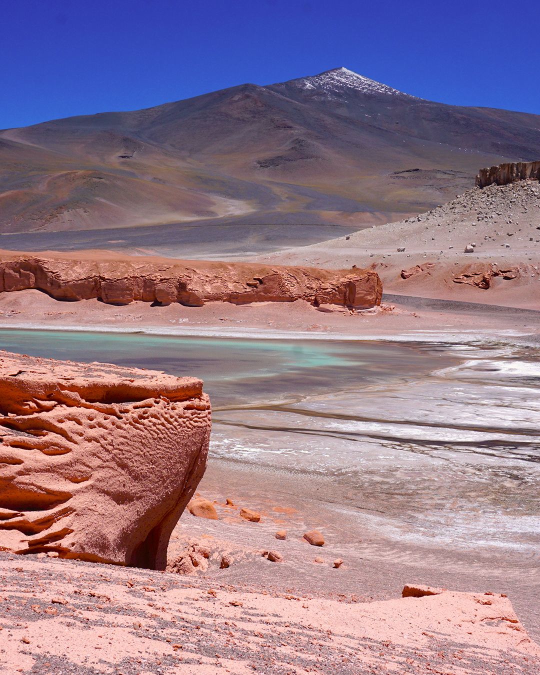 NEIBURGS presents: travel stories Dinner Vol. 1 MEXICO - COPY - COPY