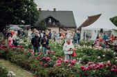 Peoniju svētki vasaras melodijās